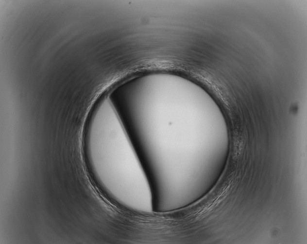 X0000098080439200804040755