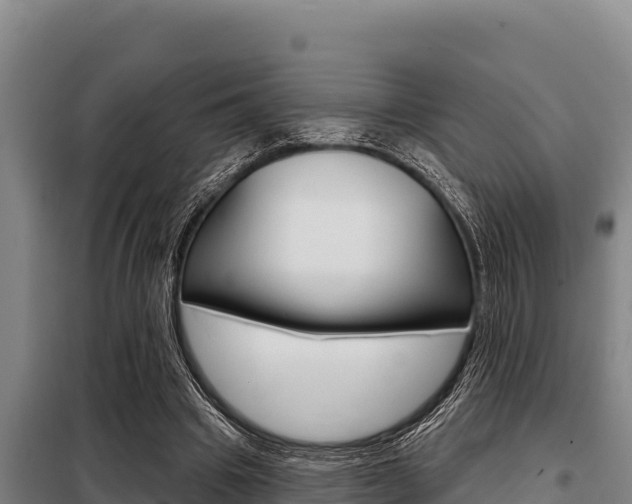 X0000098080441200804040755