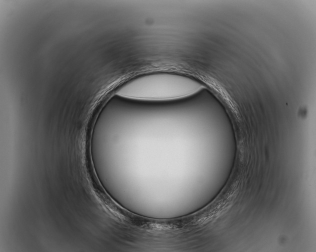 X0000098080442200804040755