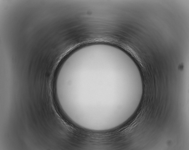 X0000098080444200804040755