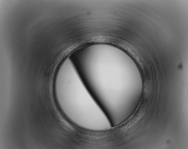 X0000098080445200804040755