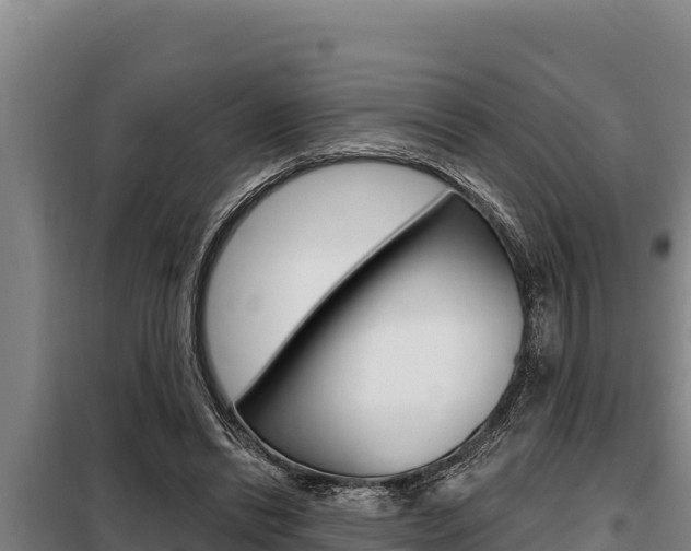 X0000098080446200804040755