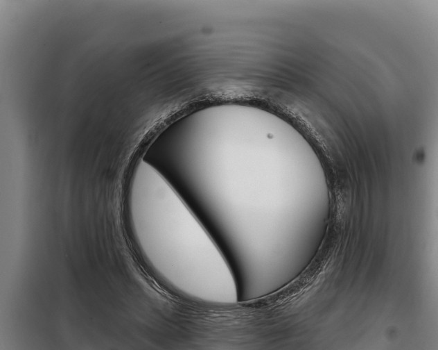 X0000098080447200804040755