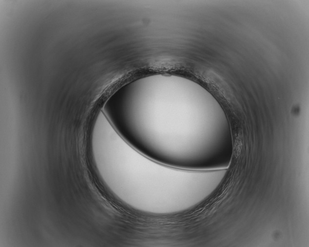 X0000098080448200804040755