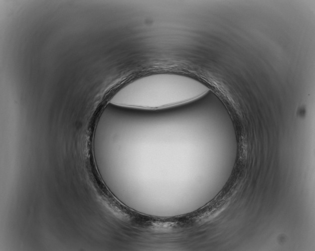 X0000098080450200804040755