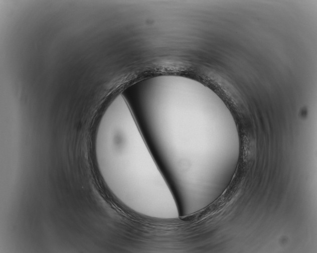 X0000098080451200804040755