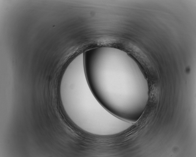 X0000098080452200804040755