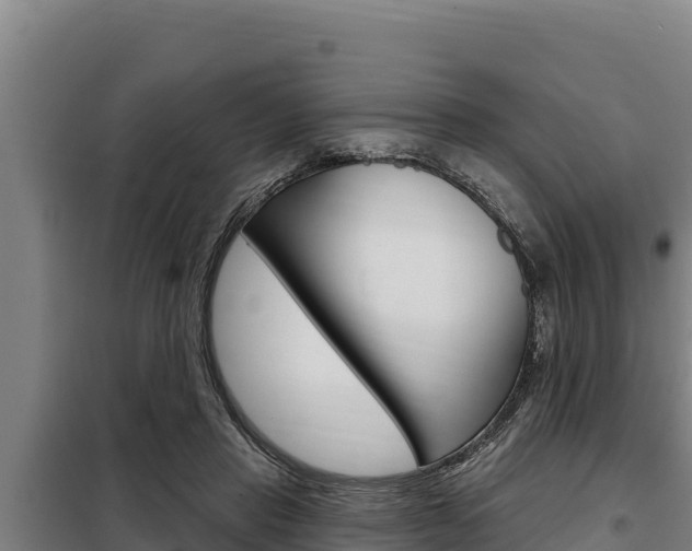 X0000098080453200804040755