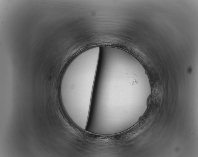 X0000098080454200804040755
