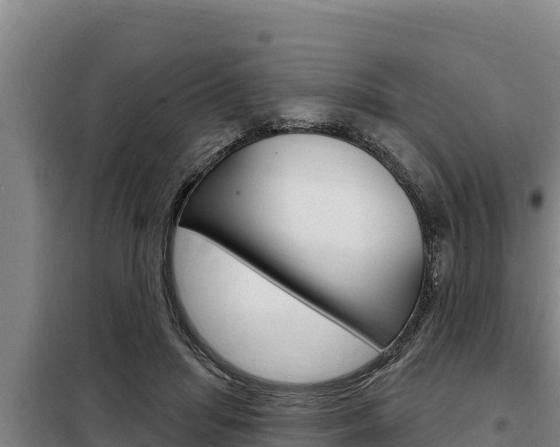 X0000098080455200804040755