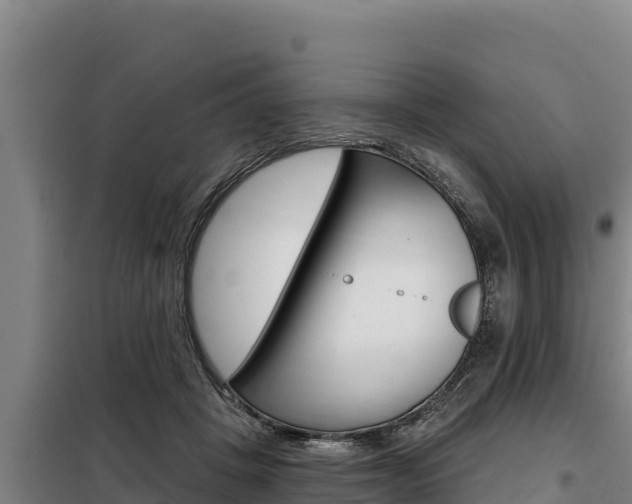 X0000098080457200804040755