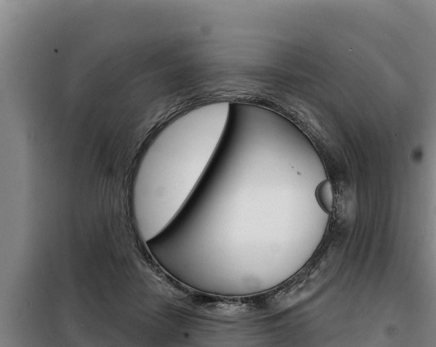 X0000098080458200804040755