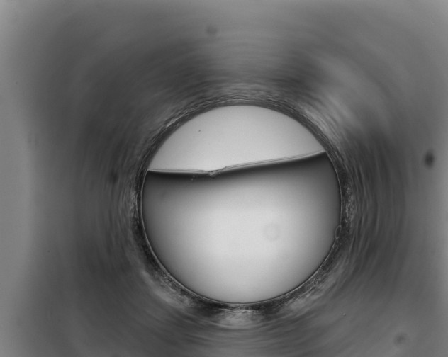 X0000098080459200804040755