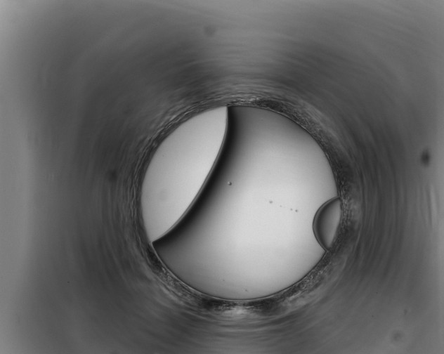 X0000098080460200804040755