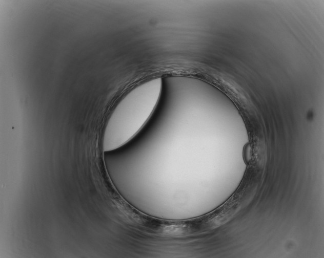 X0000098080461200804040755