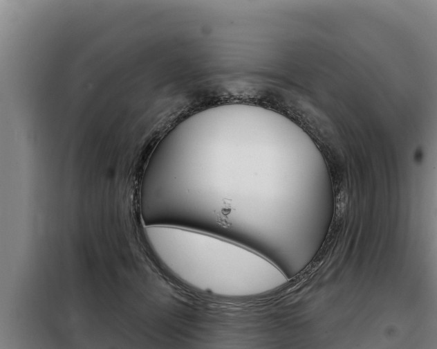 X0000098080464200804040755