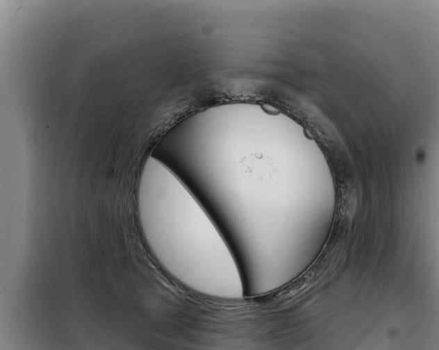X0000098080465200804040755