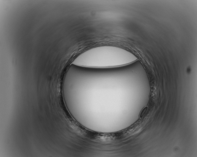X0000098080466200804040755