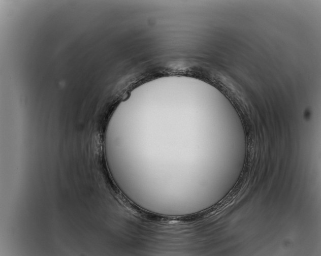 X0000098080467200804040755