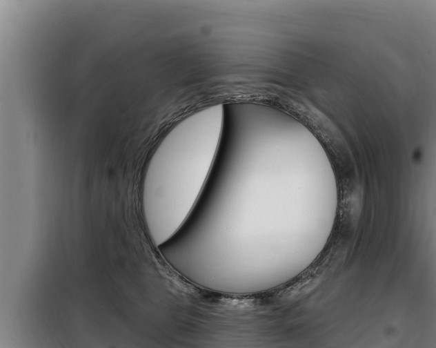 X0000098080469200804040755