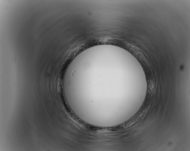 X0000098080470200804040755