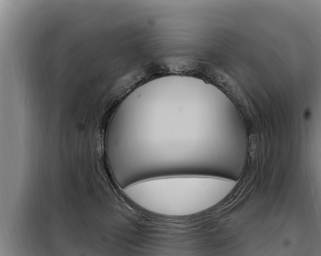 X0000098080471200804040755