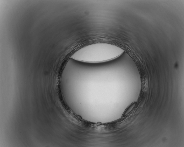 X0000098080472200804040755