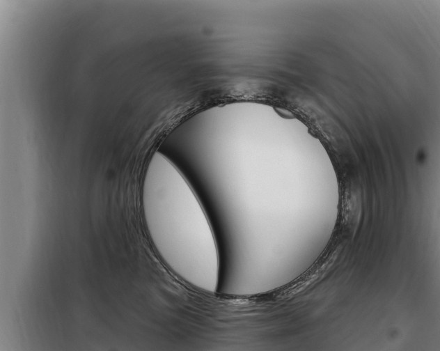 X0000098080473200804040755