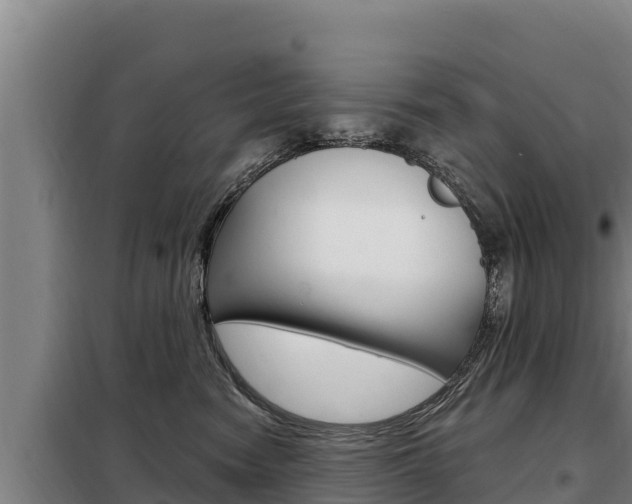 X0000098080474200804040755