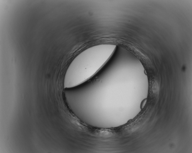 X0000098080475200804040755