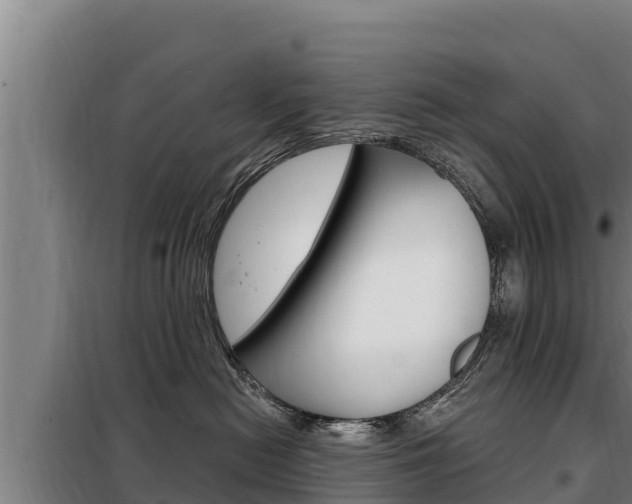 X0000098080478200804040755