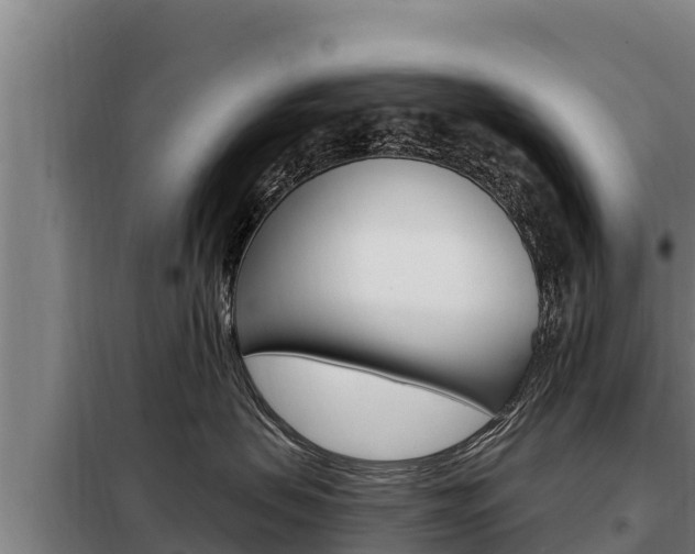 X0000098080479200804040755