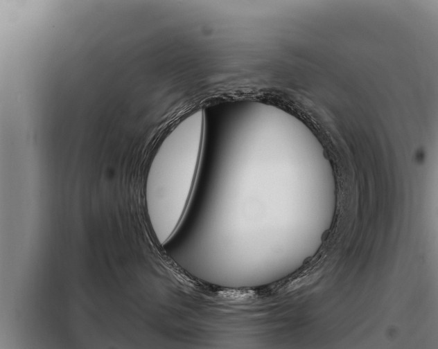 X0000098080480200804040755