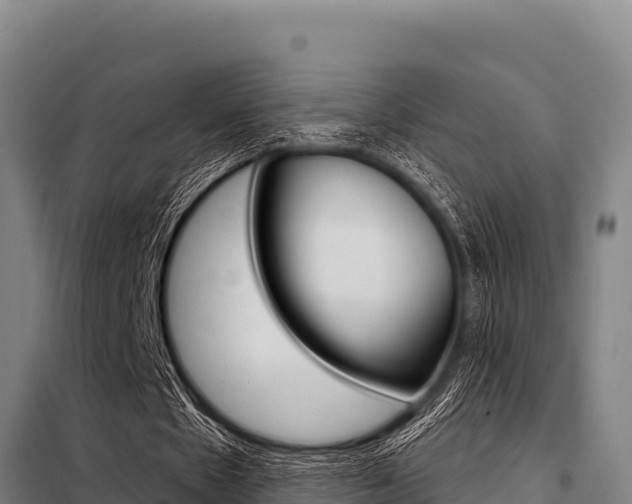 X0000098080481200804040755