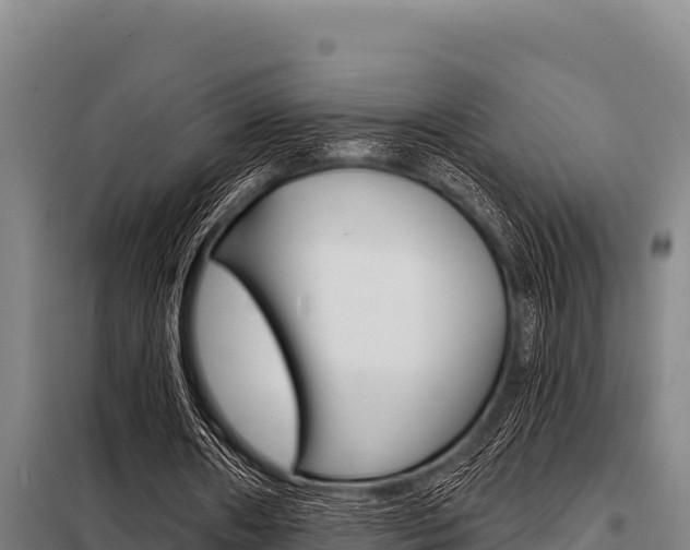 X0000098080482200804040755