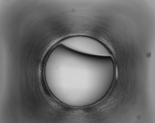 X0000098080483200804040754