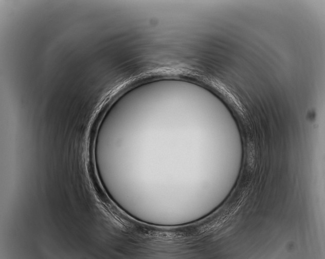 X0000098080486200804040754