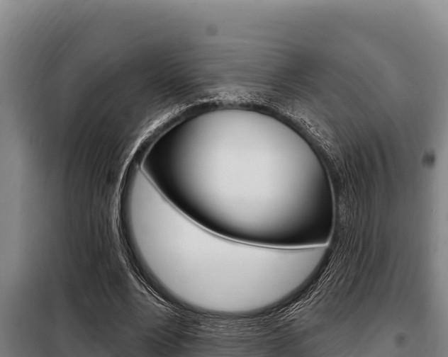 X0000098080488200804040754