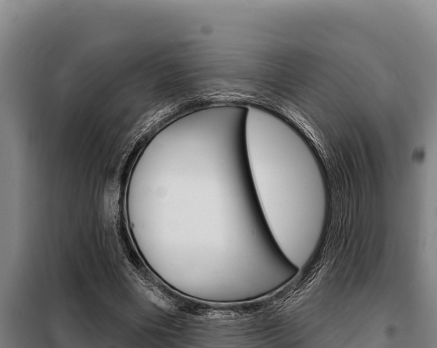 X0000098080490200804040754