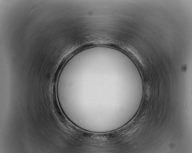 X0000098080491200804040754
