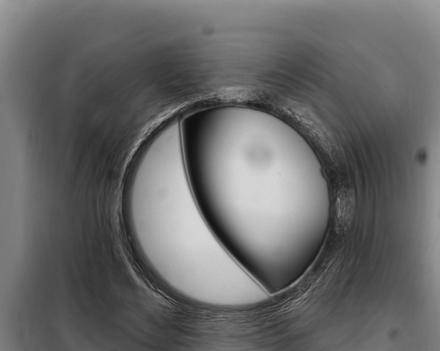 X0000098080492200804040754