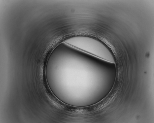 X0000098080493200804040754