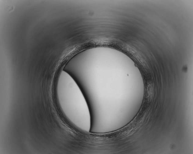 X0000098080494200804040754