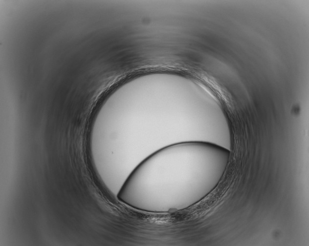 X0000098080495200804040754
