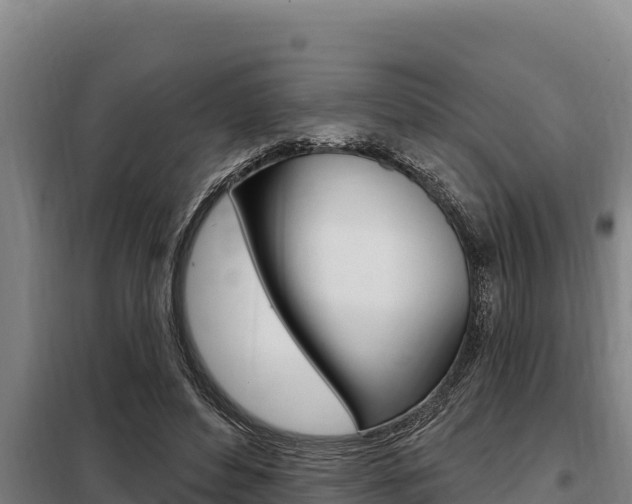 X0000098080496200804040754