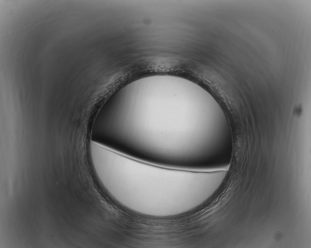 X0000098080497200804040754