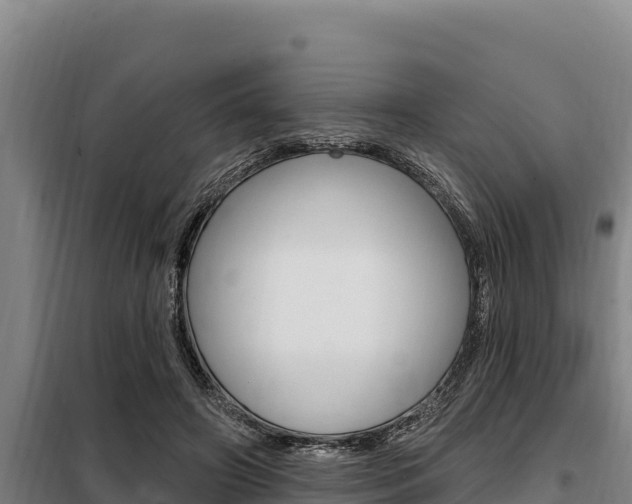 X0000098080498200804040754