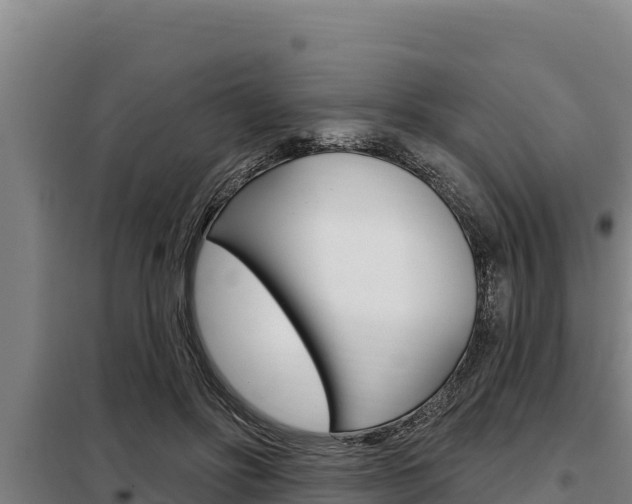 X0000098080502200804040754