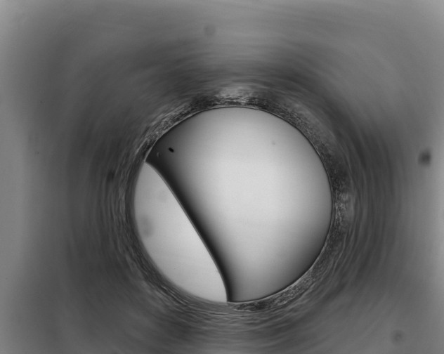 X0000098080504200804040754
