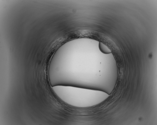 X0000098080506200804040754